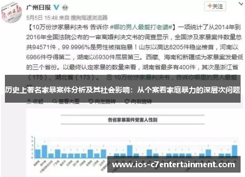 历史上著名家暴案件分析及其社会影响：从个案看家庭暴力的深层次问题