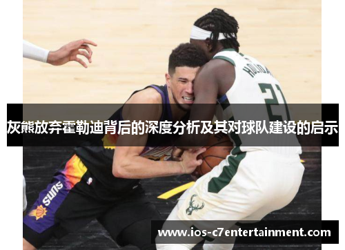 灰熊放弃霍勒迪背后的深度分析及其对球队建设的启示